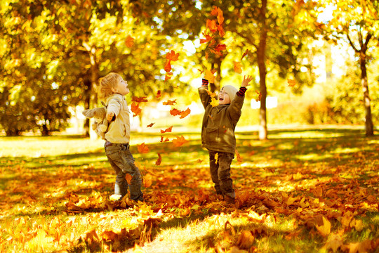 Herfst in Amersfoort bij Van der Valk Amersfoort